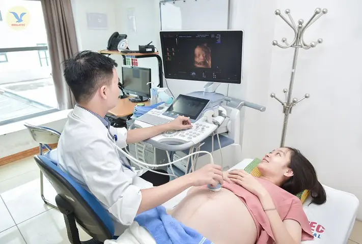 Hình Ảnh Thai 1 Tuần Tuổi Siêu Âm: Nhận Biết Dấu Hiệu Mang Thai Sớm Nhất