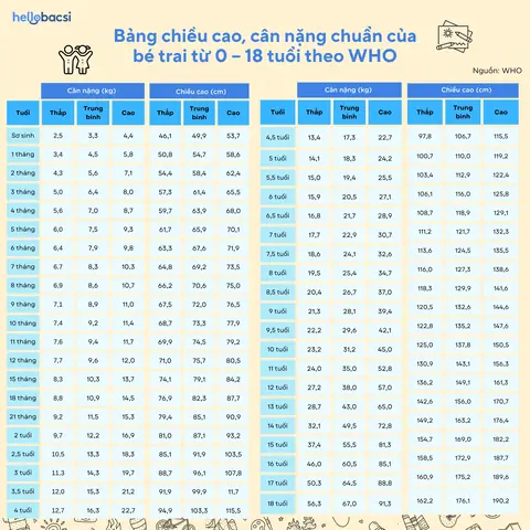 Chiều Cao Cân Nặng Chuẩn Của Bé 19 Tháng Tuổi Theo Who: Thông Số Và Cách Đạt Được