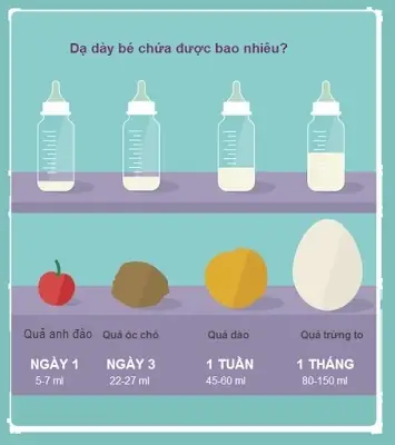 Bé 2 Tháng Tuổi Bú Đêm Bao Nhiêu Lần? Lịch Ăn Ngủ Chuẩn Mẹ Cần Biết