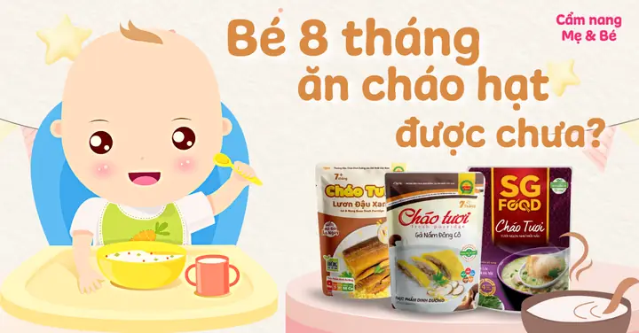 Bé Ăn Bột Bao Lâu Thì Chuyển Sang Cháo? Hướng Dẫn Chuyển Đổi An Toàn & Hiệu Quả