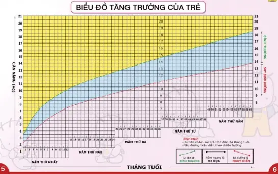 Biểu Đồ Chiều Cao Cân Nặng Chuẩn Của Trẻ Theo Who & Các Yếu Tố Ảnh Hưởng
