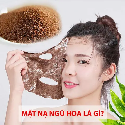 Cách Đắp Mặt Nạ Ngũ Hoa Đúng Cách: Hướng Dẫn Chi Tiết & Bí Quyết Hiệu Quả Cách Đắp Mặt Nạ Ngũ Hoa Đúng Cách: Hướng Dẫn Chi Tiết & Bí Quyết Hiệu Quả