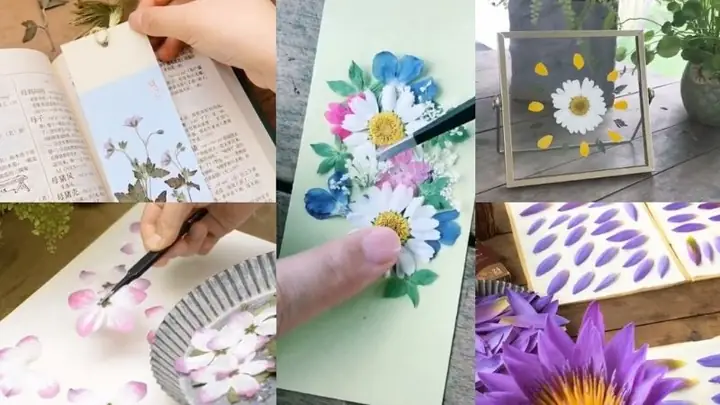 Hướng Dẫn Chi Tiết Cách Ép Hoa Khô Bằng Sách Đơn Giản, Giữ Màu Đẹp