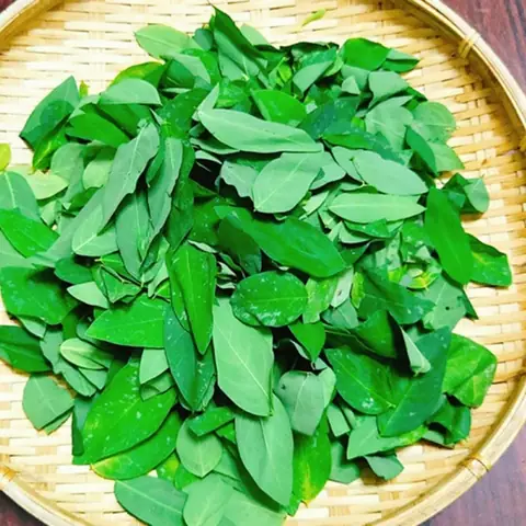 Cách Nấu Cháo Lươn Cho Bé 1 Tuổi Ngon, Không Tanh & Đầy Đủ Dinh Dưỡng Cách Nấu Cháo Lươn Cho Bé 1 Tuổi Ngon, Không Tanh & Đầy Đủ Dinh Dưỡng