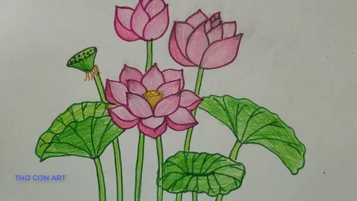 Hướng Dẫn Vẽ Hoa Sen Đơn Giản, Đẹp Theo Từng Bước Cho Người Mới Bắt Đầu
