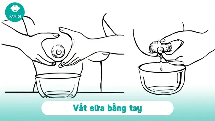Cai Sữa Có Nên Vắt Sữa Ra Không? Hướng Dẫn Giảm Căng Tức Ngực Hiệu Quả