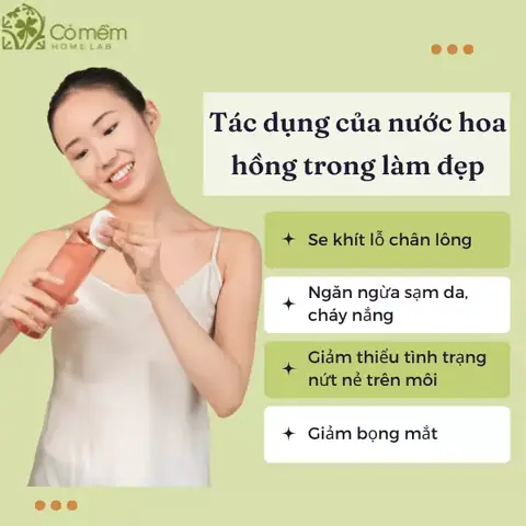 Nước Hoa Hồng Trước Khi Trang Điểm: Có Nên Dùng Và Dùng Thế Nào Đúng Cách?
