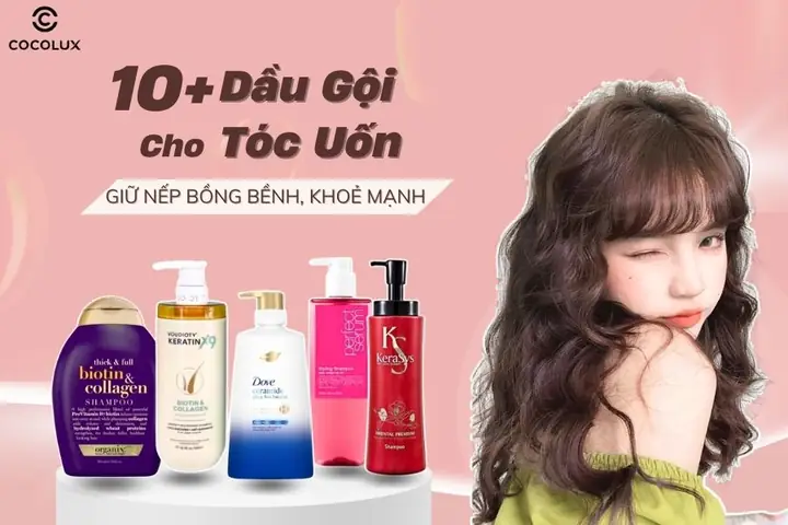Top 5+ Dầu Gội Cho Tóc Uốn Nhuộm: Bí Quyết Giữ Nếp, Bền Màu Chuẩn Salon