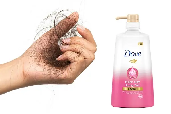 Dầu Gội Dove Ngăn Rụng Tóc: Có Thật Sự Hiệu Quả Như Lời Đồn?