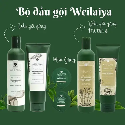 Dầu Gội Weilaiya Giá Bao Nhiêu? Cập Nhật 2024 Dầu Gội Weilaiya Giá Bao Nhiêu? Cập Nhật 2024