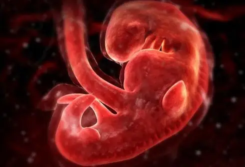 Hình Ảnh Thai Nhi Theo Tuần: Hành Trình Phát Triển Kỳ Diệu Từ Phôi Thai Đến Em Bé