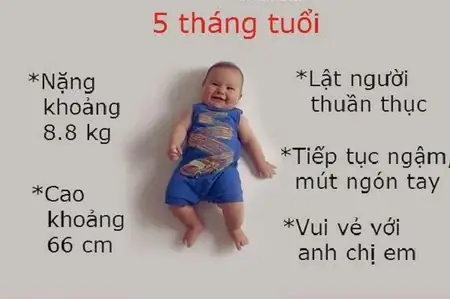 Lịch Ăn Dặm Và Sinh Hoạt Chuẩn Cho Bé 5 Tháng Tuổi: Hướng Dẫn Chi Tiết Cho Mẹ