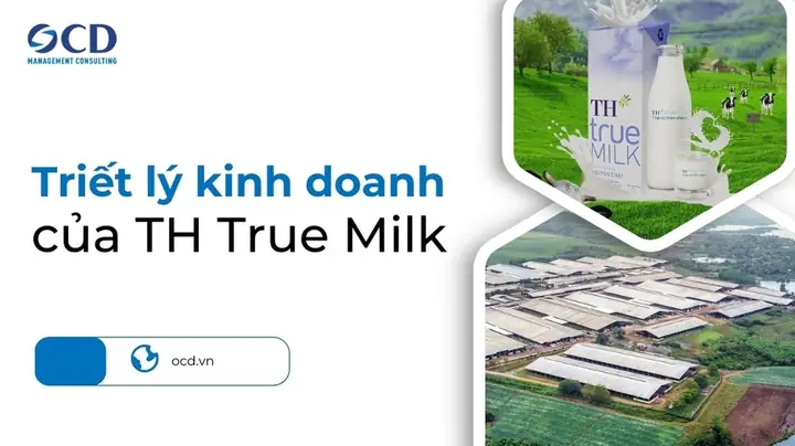 Lĩnh Vực Kinh Doanh & Chiến Lược Cốt Lõi Của Th True Milk: Từ Trang Trại Đến Người Tiêu Dùng