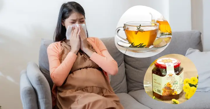 14 Mẹo Chữa Ngạt Mũi Cho Bà Bầu An Toàn, Hiệu Quả Tại Nhà 14 Mẹo Chữa Ngạt Mũi Cho Bà Bầu An Toàn, Hiệu Quả Tại Nhà