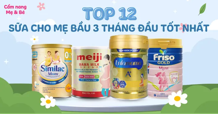 Sữa Tốt Cho Thai Nhi 3 Tháng Đầu: Lựa Chọn Dinh Dưỡng Quan Trọng Cho Mẹ Bầu