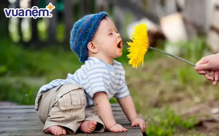 Gợi Ý Tên Bé Trai Họ Lương Bắt Đầu Bằng Các Chữ Cái A, B, C, D Là Gì? Gợi Ý Tên Bé Trai Họ Lương Bắt Đầu Bằng Các Chữ Cái A, B, C, D Là Gì?