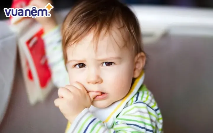 Bố Tên Phong Đặt Tên Con Trai Là Gì Để Hợp Phong Thủy Và Mang Ý Nghĩa Sâu Sắc? Bố Tên Phong Đặt Tên Con Trai Là Gì Để Hợp Phong Thủy Và Mang Ý Nghĩa Sâu Sắc?