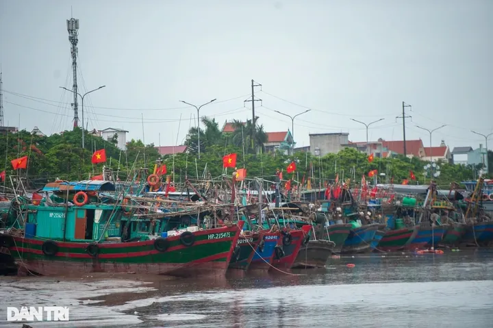 Hướng Dẫn Cách Đặt Tên Bão Ở Việt Nam Và Quy Chuẩn Quốc Tế Mới Nhất