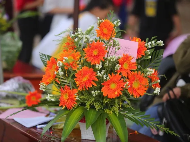 Mẫu Bình Hoa Mái Vòm Mềm Mại Và Đầy Đủ Sắc Màu Tươi Tắn Mẫu Bình Hoa Mái Vòm Mềm Mại Và Đầy Đủ Sắc Màu Tươi Tắn