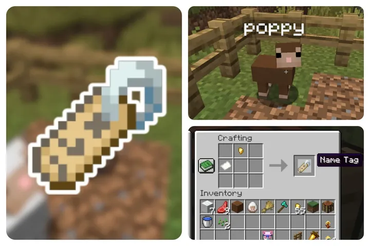 Hướng Dẫn Cách Đặt Tên Cho Thú Cưng Trong Minecraft Và Tổng Hợp Các Ý Tưởng Name Tag Độc Đáo Nhất Hướng Dẫn Cách Đặt Tên Cho Thú Cưng Trong Minecraft Và Tổng Hợp Các Ý Tưởng Name Tag Độc Đáo Nhất
