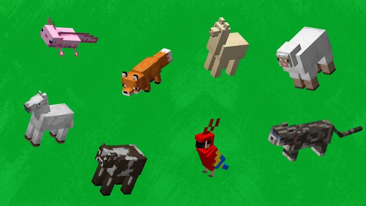 Hướng Dẫn Cách Dùng Thẻ Tên Và Đặt Tên Cho Con Vật Trong Minecraft Chi Tiết Nhất Hướng Dẫn Cách Dùng Thẻ Tên Và Đặt Tên Cho Con Vật Trong Minecraft Chi Tiết Nhất