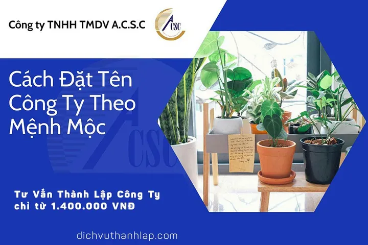 Cách Đặt Tên Công Ty Theo Mệnh Mộc Thu Hút Tài Lộc Và Phát Triển Bền Vững