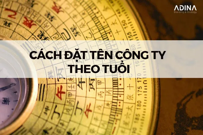 Có Được Đặt Tên Công Ty Trùng Hoặc Gây Nhầm Lẫn Với Doanh Nghiệp Khác Không?