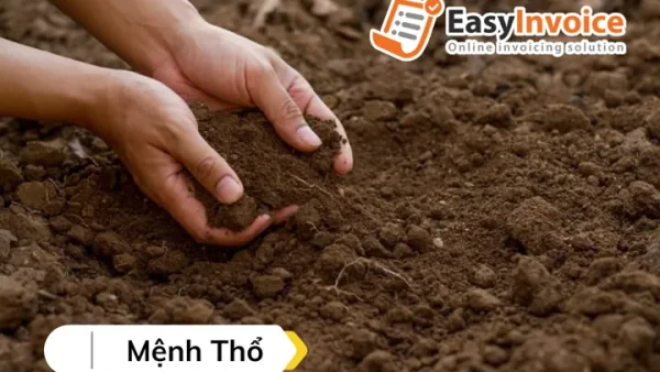 Cách Đặt Tên Công Ty Hay, Ý Nghĩa Và Đúng Quy Định Pháp Luật