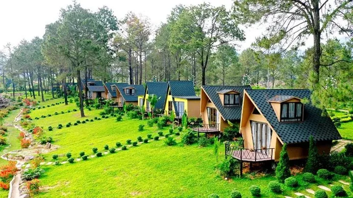 Bí Quyết Cách Đặt Tên Homestay Hay, Độc Đáo Và Dễ Lên Top Tìm Kiếm Bí Quyết Cách Đặt Tên Homestay Hay, Độc Đáo Và Dễ Lên Top Tìm Kiếm