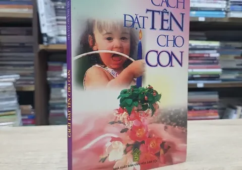 Cách Đặt Tên Sách Thu Hút: Bí Quyết Sáng Tạo Tựa Đề Hay Và Đáng Nhớ