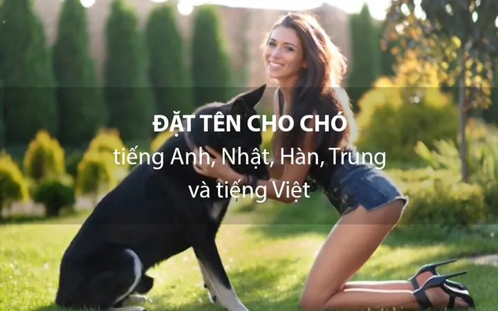 Chó Màu Đen Đặt Tên Gì? Tổng Hợp 500+ Cách Gọi Hay, Độc Lạ Và Ý Nghĩa Nhất Cho Cún Cưng Chó Màu Đen Đặt Tên Gì? Tổng Hợp 500+ Cách Gọi Hay, Độc Lạ Và Ý Nghĩa Nhất Cho Cún Cưng
