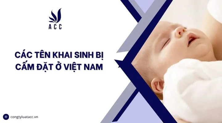 Cha Mẹ Cần Lưu Ý Gì Để Tránh Việc Hồ Sơ Đăng Ký Khai Sinh Bị Từ Chối? Cha Mẹ Cần Lưu Ý Gì Để Tránh Việc Hồ Sơ Đăng Ký Khai Sinh Bị Từ Chối?