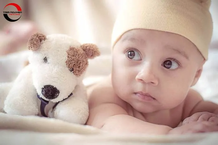 Bé Trai Sơ Sinh Mang Lại Niềm Hạnh Phúc Lớn Cho Gia Đình