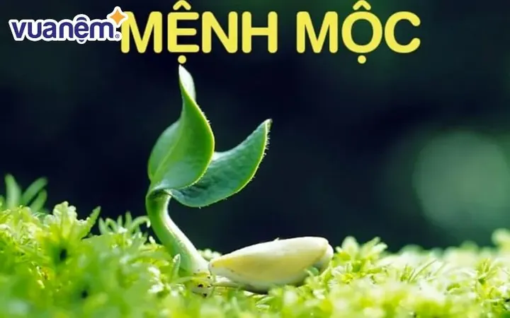 Gợi Ý Tên Con Gái Mệnh Mộc Hay, Ý Nghĩa Và Mang Lại Tài Lộc Bình An Gợi Ý Tên Con Gái Mệnh Mộc Hay, Ý Nghĩa Và Mang Lại Tài Lộc Bình An