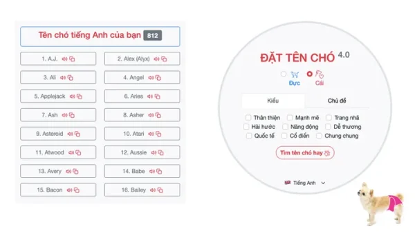 Hướng Dẫn Cách Đặt Tên Bằng Tiếng Hàn Hay Và Ý Nghĩa Nhất Cho Nam Nữ