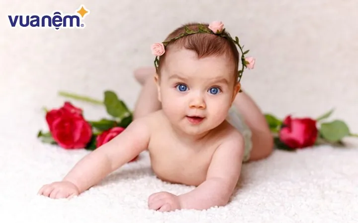 Gợi Ý Đặt Tên Bé Gái Họ Hồ Hay, Ý Nghĩa Và Mang Lại May Mắn Gợi Ý Đặt Tên Bé Gái Họ Hồ Hay, Ý Nghĩa Và Mang Lại May Mắn