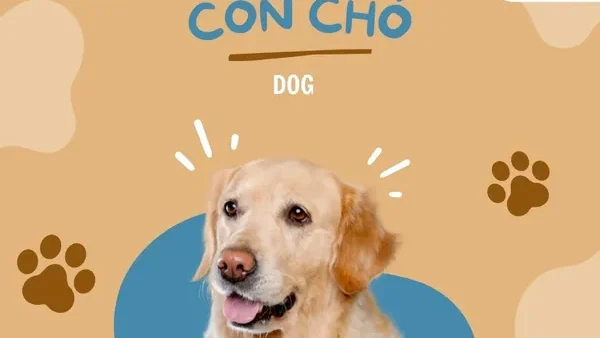 Tổng Hợp Tên Các Con Vật Hay, Ý Nghĩa Và Dễ Thương Nhất Để Đặt Tên Cho Thú Cưng Hoặc Học Tập