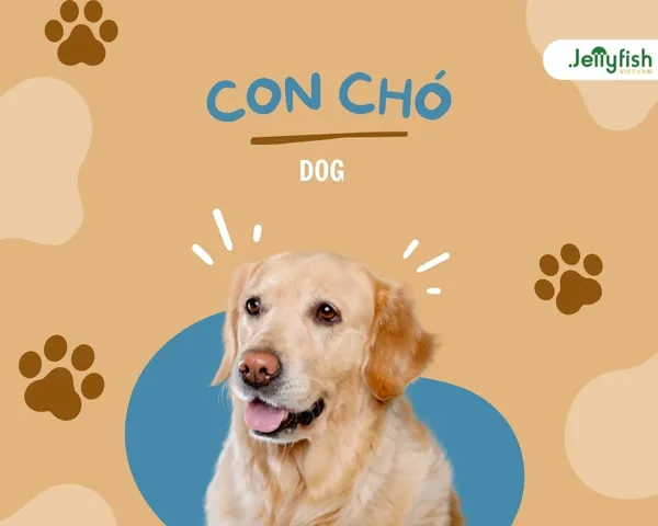 Tên Các Con Vật Nuôi Trong Nhà Và Động Vật Sống Trên Cạn Tên Các Con Vật Nuôi Trong Nhà Và Động Vật Sống Trên Cạn