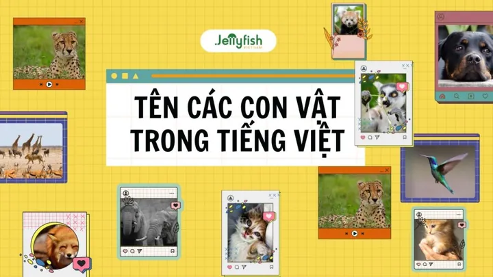 Tên Các Con Vật Bằng Tiếng Nước Ngoài Phổ Biến Và Dễ Nhớ Tên Các Con Vật Bằng Tiếng Nước Ngoài Phổ Biến Và Dễ Nhớ