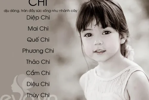 Đặt Tên Chi Cho Con Gái: Ý Nghĩa, Phong Thủy Và 100+ Tên Đệm Hay Nhất