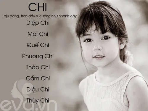 Diễm Chi Diễm Chi