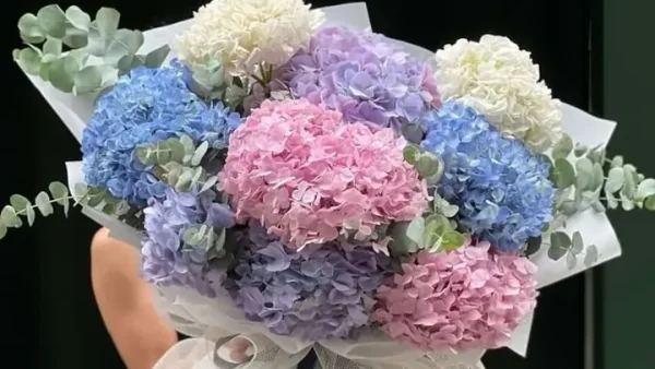 Hướng Dẫn Cách Đặt Tên Cho Chậu Hoa Hay, Ý Nghĩa Và Độc Đáo Nhất