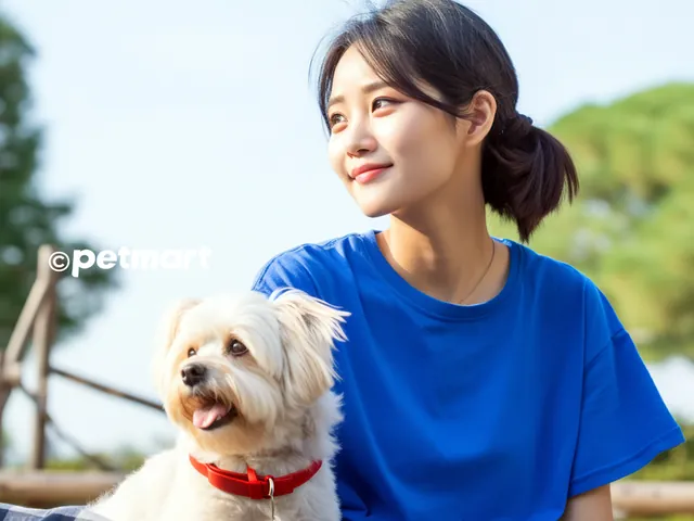 Gợi Ý 300+ Cách Đặt Tên Cho Chó Bằng Tiếng Việt Hay, Ý Nghĩa Và Độc Lạ Nhất Gợi Ý 300+ Cách Đặt Tên Cho Chó Bằng Tiếng Việt Hay, Ý Nghĩa Và Độc Lạ Nhất