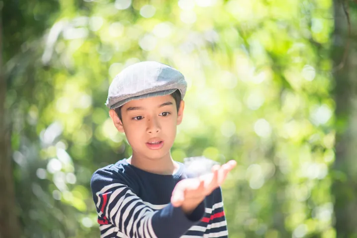 Gợi Ý Danh Sách Tên Bé Gái Họ Lê Hay, Thùy Mị Và Mang Lại Bình An