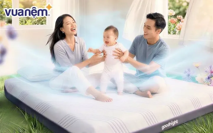 Làm Sao Để Chọn Âm Điệu Và Vần Điệu Tương Thích Với Họ Phạm? Làm Sao Để Chọn Âm Điệu Và Vần Điệu Tương Thích Với Họ Phạm?