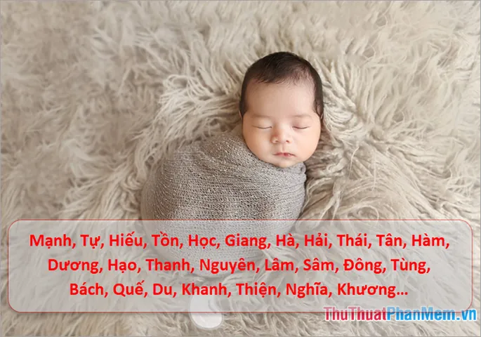 Những Bộ Chữ Nào Hợp Với Tam Hợp Hợi - Mão - Mùi Khi Đặt Tên?