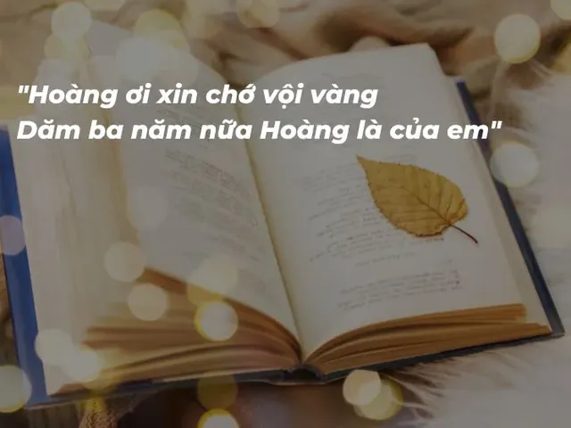 Gợi Ý Thơ Thả Thính Và Chữ Ký Độc Đáo Cho Người Tên Hoàng