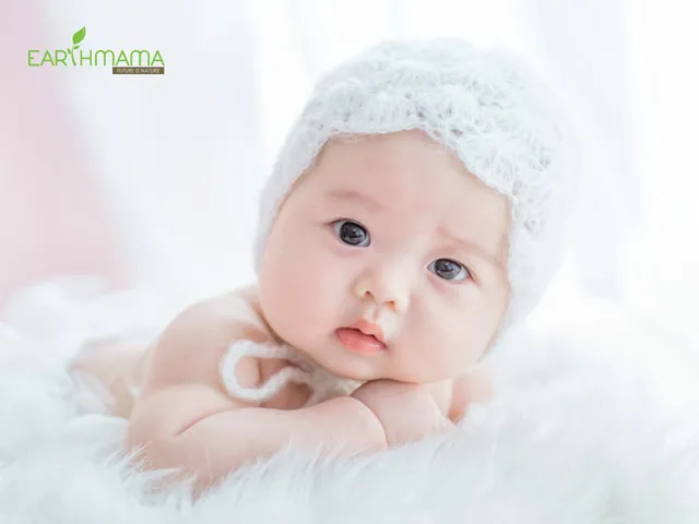 Có Nên Chọn Tên Theo Mệnh Mộc Và Bộ Chữ Hợp Tuổi Mão Không? Có Nên Chọn Tên Theo Mệnh Mộc Và Bộ Chữ Hợp Tuổi Mão Không?