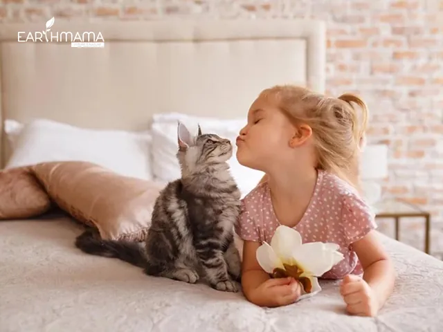 Tên Gọi Ở Nhà Có Cần Phải Hợp Phong Thủy Giống Tên Chính Không? Tên Gọi Ở Nhà Có Cần Phải Hợp Phong Thủy Giống Tên Chính Không?