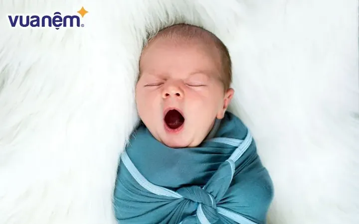Ý Nghĩa Tên Quân Theo Từ Điển Hán Việt Ý Nghĩa Tên Quân Theo Từ Điển Hán Việt